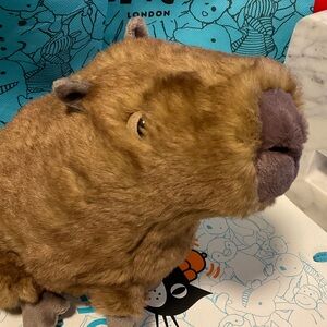 HJ2-Jellycat clyde Capybara